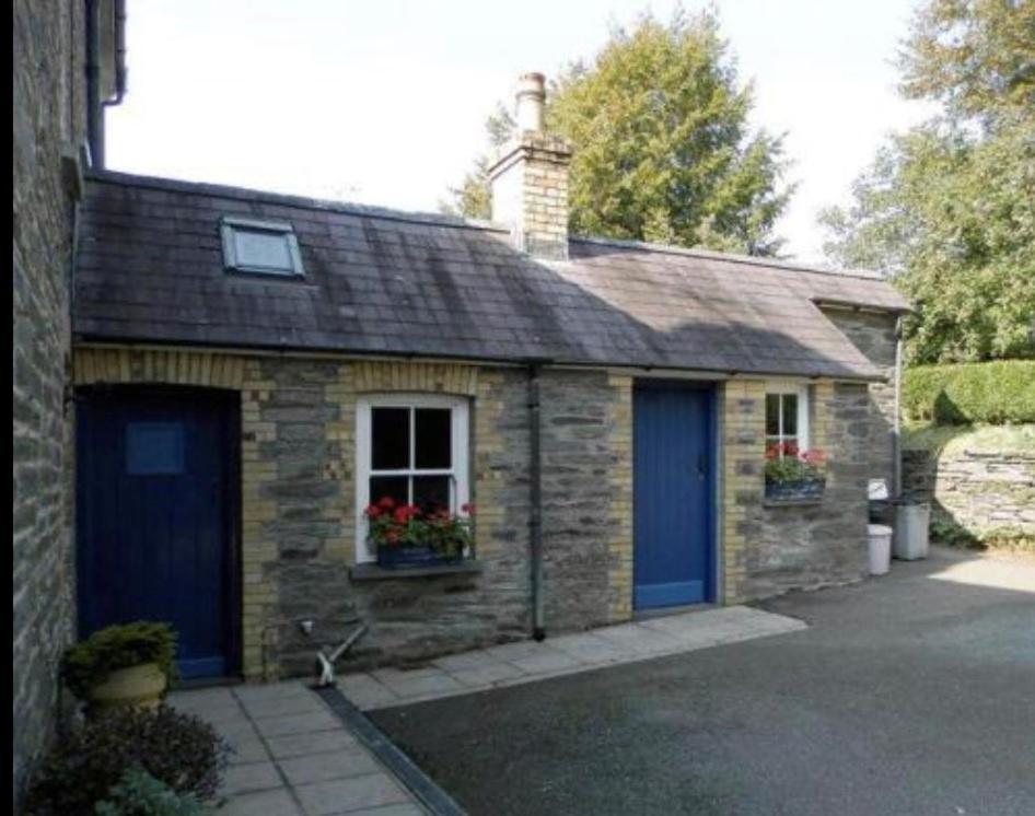 Appartement House Of Brohedyn à Newcastle Emlyn Extérieur photo